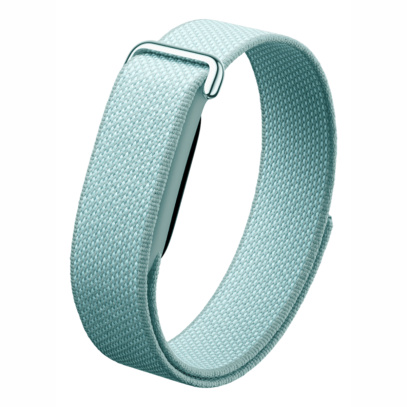 Фитнес-браслет Google Fitbit Air Fog, туман