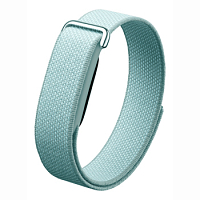 Fitbit Air
