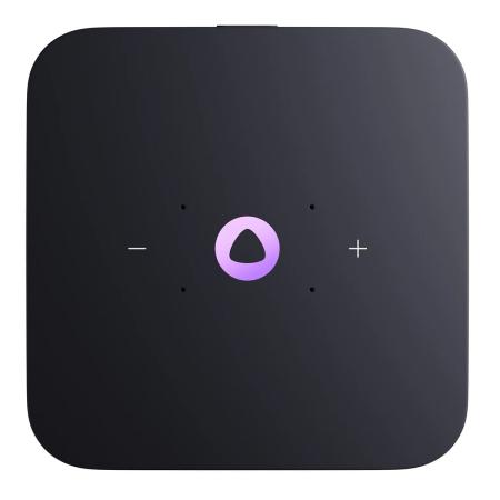 Умная колонка Яндекс.Станция Миди Малиновая