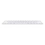 Клавиатура беспроводная Apple Magic Keyboard (MK2A3RS) Серебристый Клавиатура беспроводная Apple Magic Keyboard (MK2A3RS) Серебристый