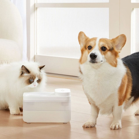 Умная поилка Xiaomi Mijia Smart Pet Water Dispenser 3L (XWWF02MG) Умная поилка Xiaomi Mijia Smart Pet Water Dispenser 3L (XWWF02MG)